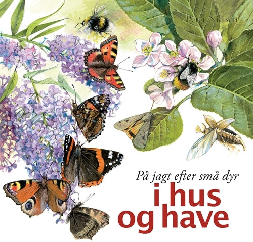 På jagt efter små dyr - i hus og have