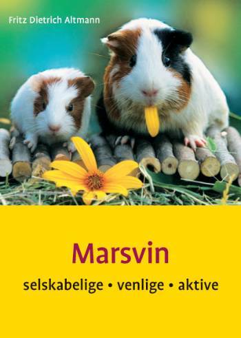 Marsvin