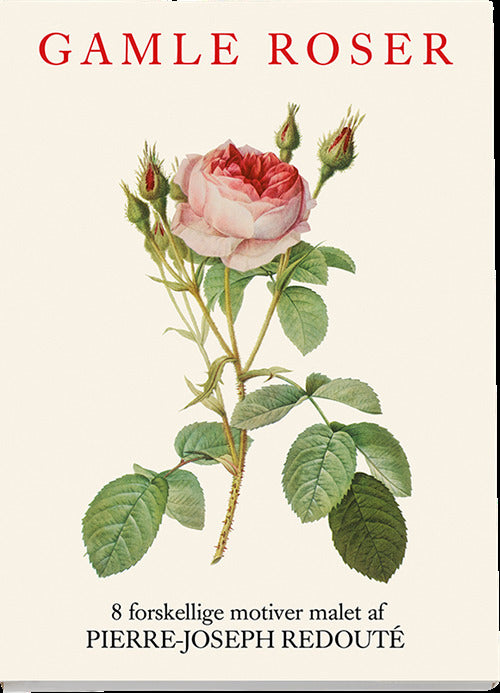 Gamle roser - kort