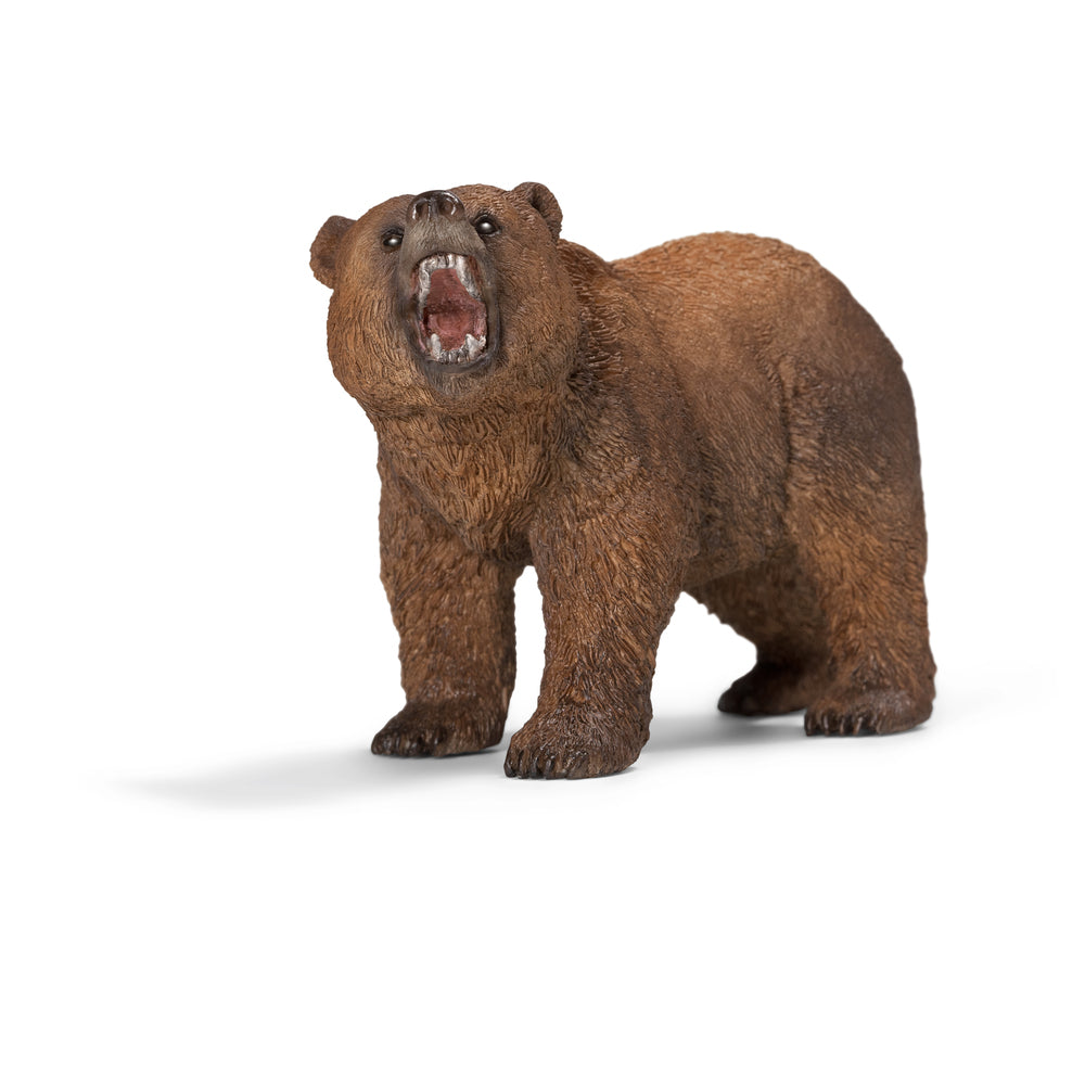 Grizzlybjørn
