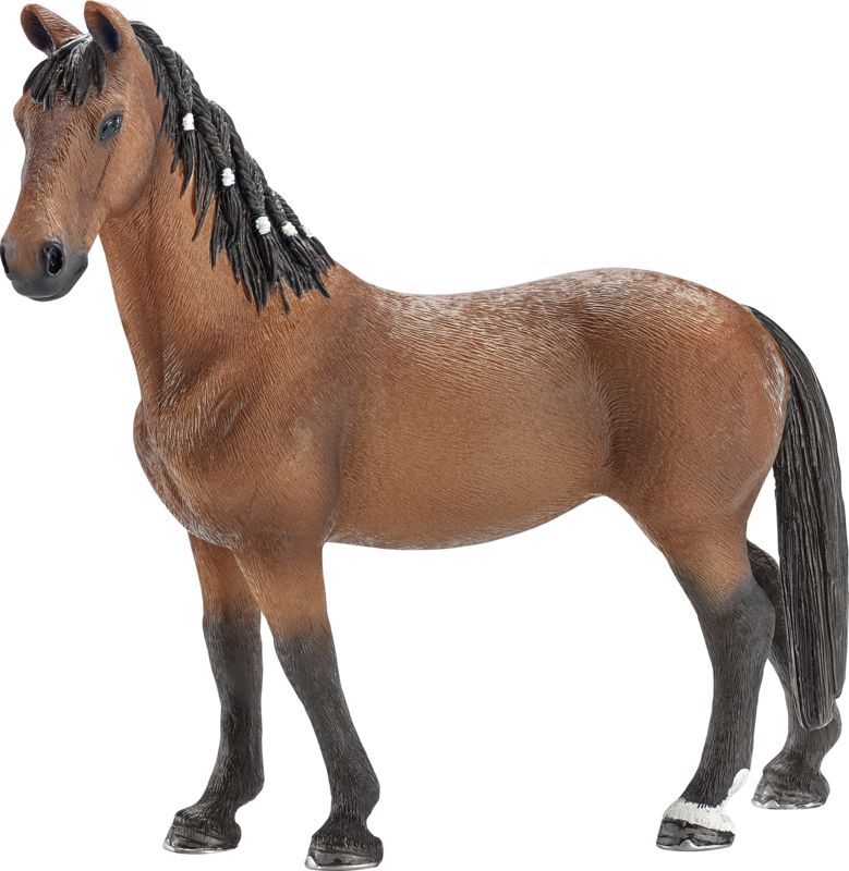 Trakehner hoppe