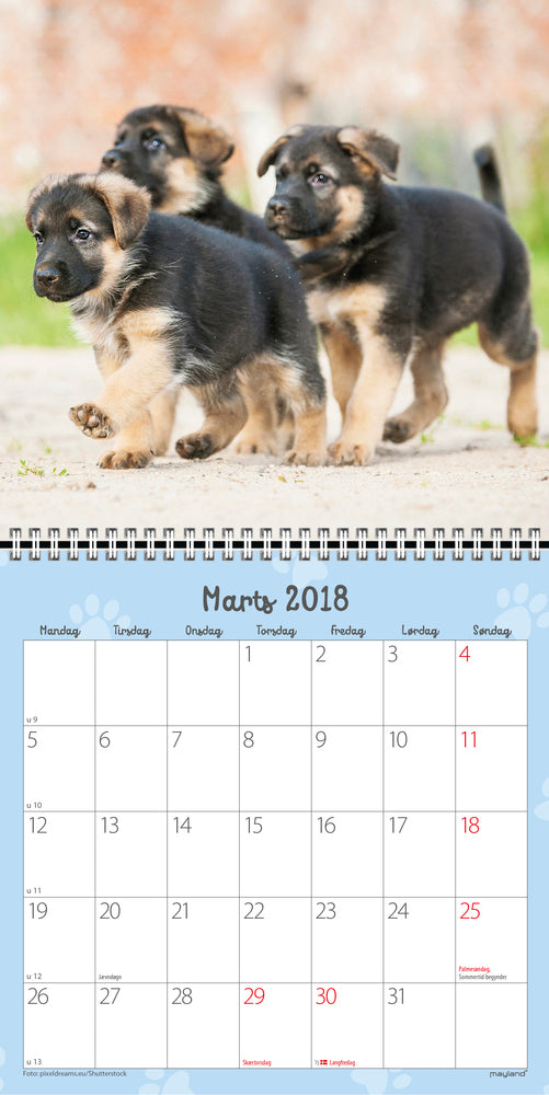 VÆGKALENDER HUNDEHVALPE 2018 MAYLAND