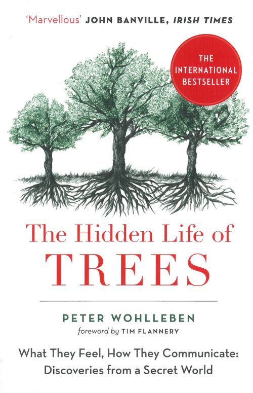 The Hidden Life of Trees