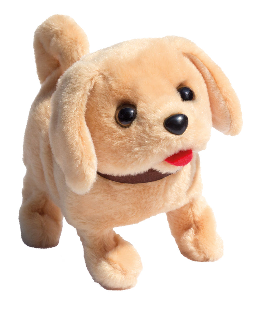 Playful puppy pal labrador