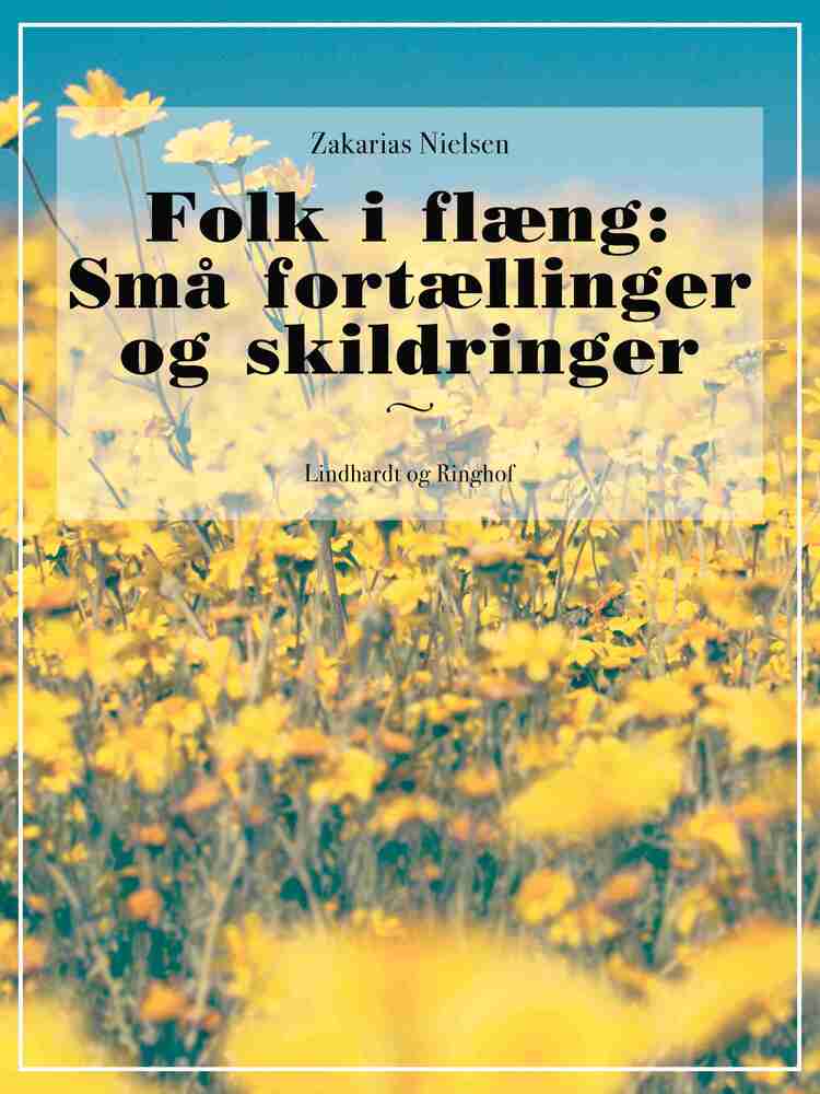 Folk i flæng: Små fortællinger og skildringer