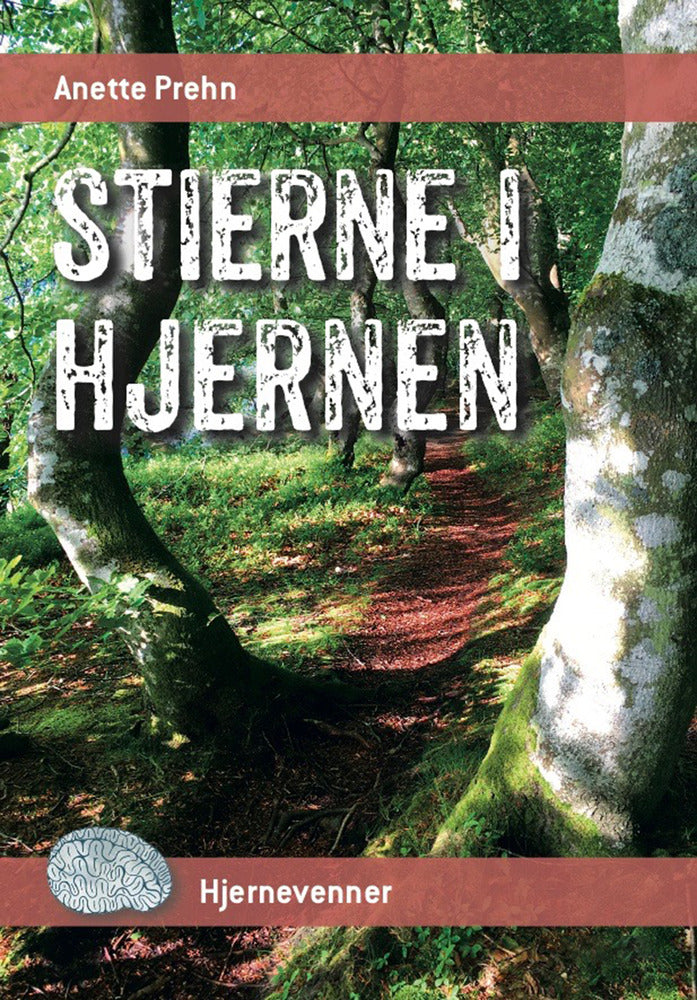 Stierne i hjernen