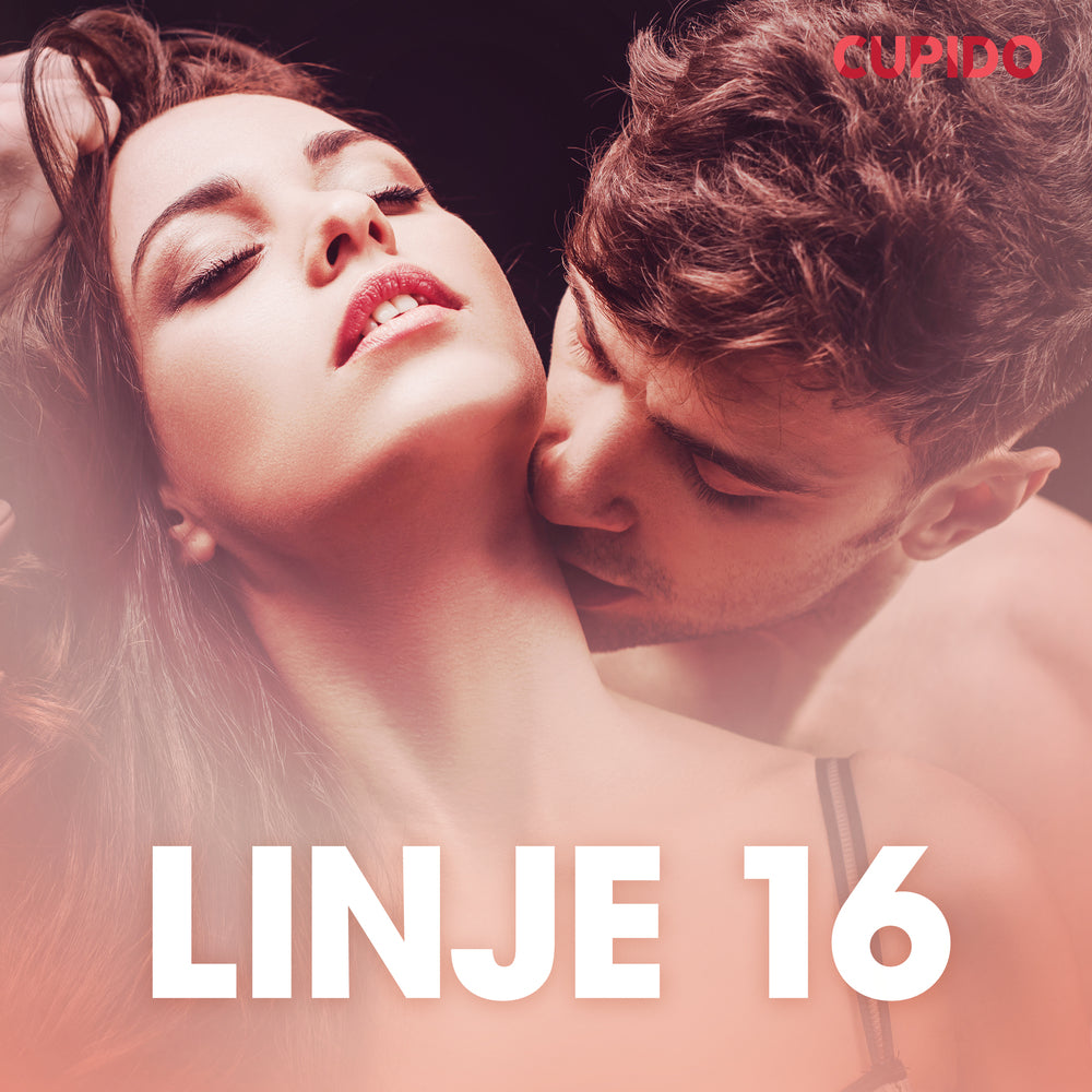 Linje 16 – erotisk novelle