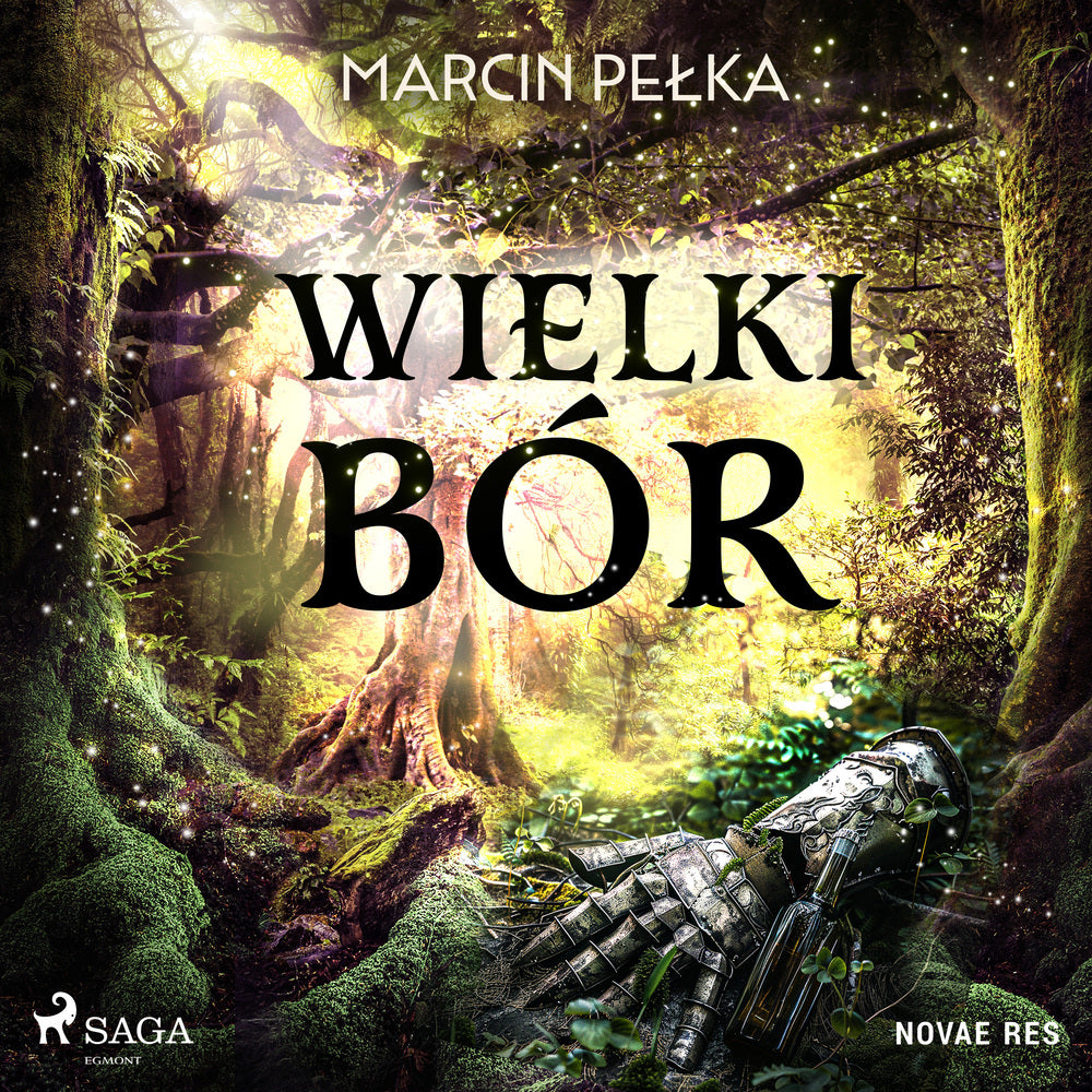 Wielki Bór