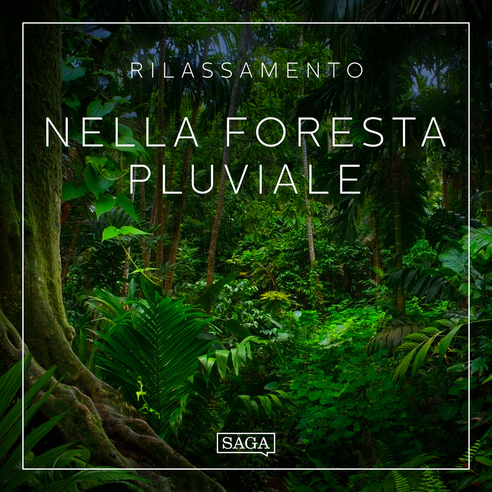Rilassamento - Nella foresta pluviale