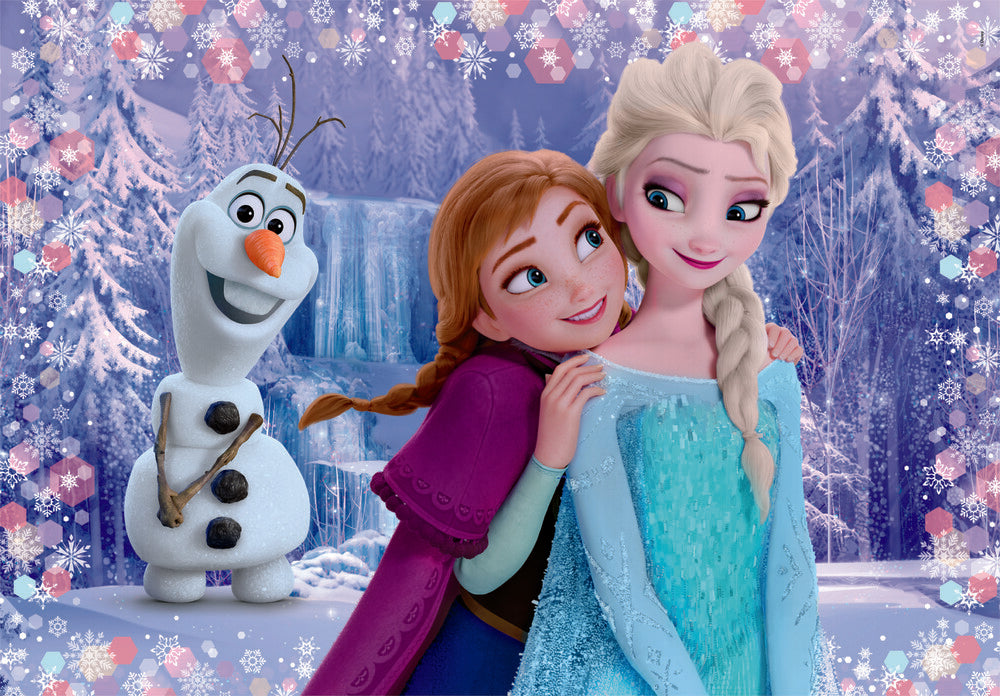 Frozen 2x20 brikker