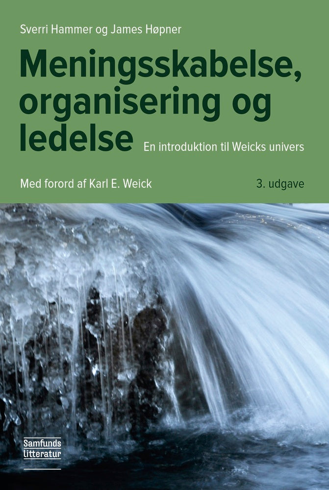 Meningsskabelse, organisering og ledelse