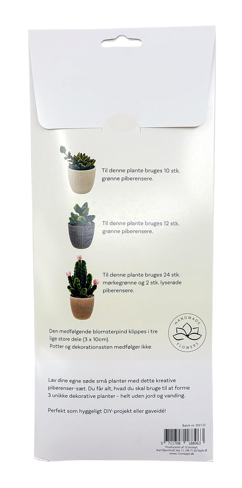 Piberenser Små planter kaktus 3 stk