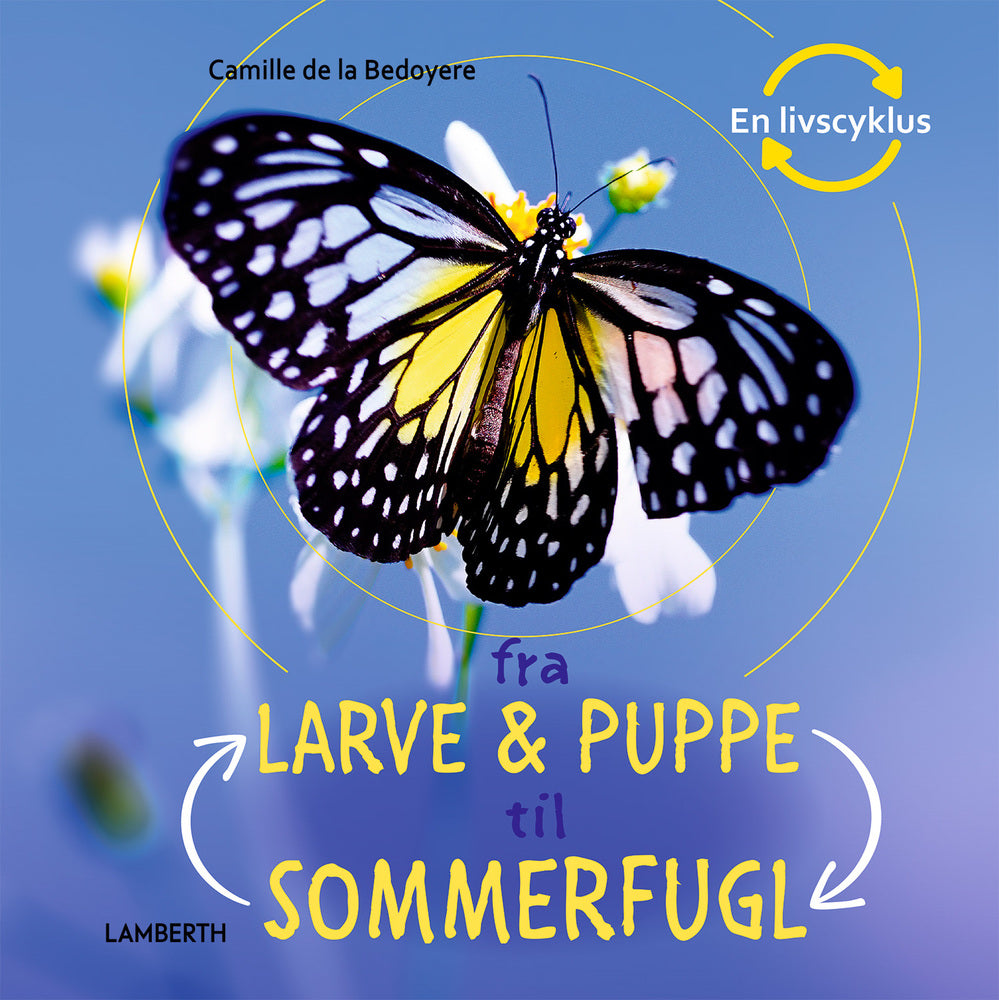 Fra larve & puppe til sommerfugl