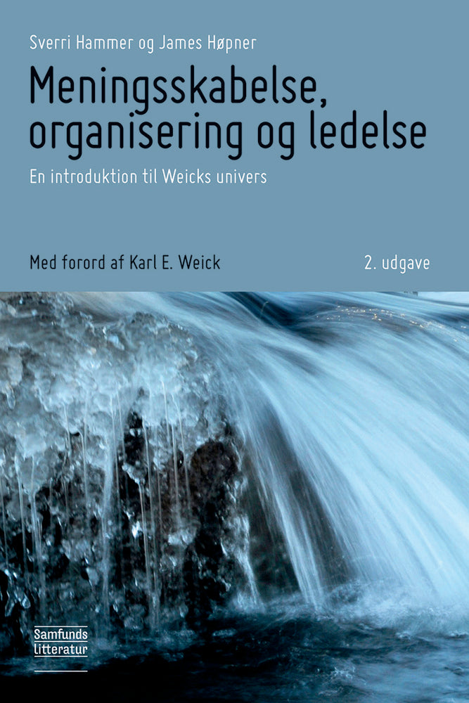 D1 Meningsskabelse, organisering og ledelse