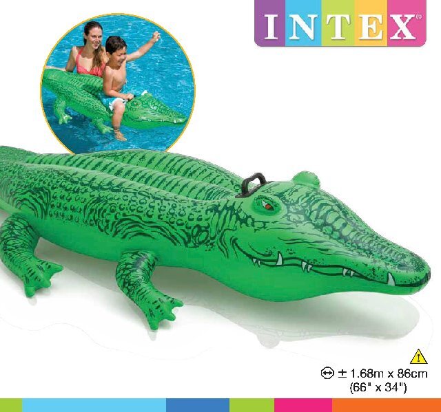 Lil' gator ride-on