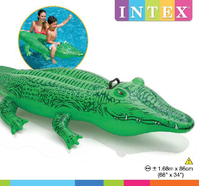 Lil' gator ride-on
