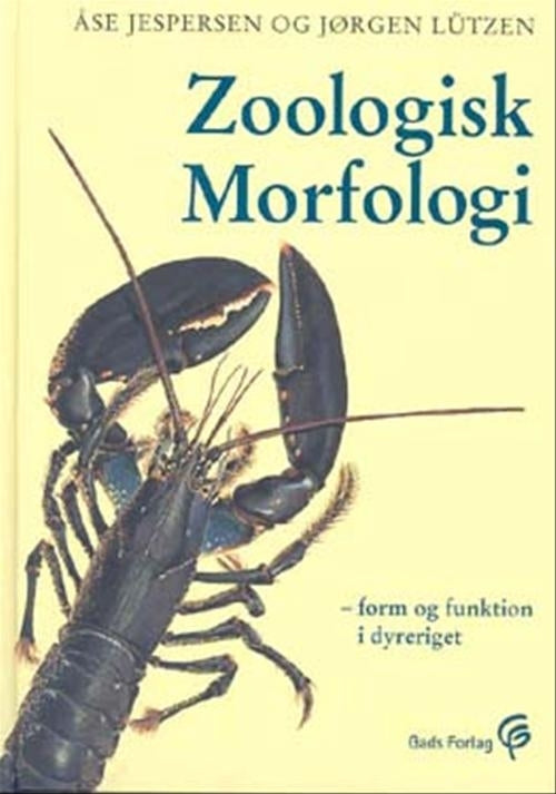 Zoologisk morfologi