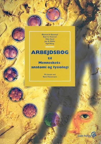 Menneskets anatomi og fysiologi