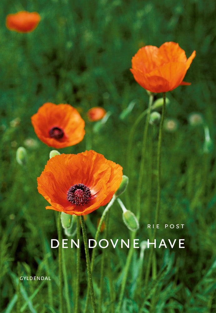 Den dovne have