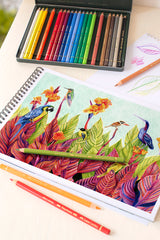 Farveblyant polychromos Faber-Castell 24 farver