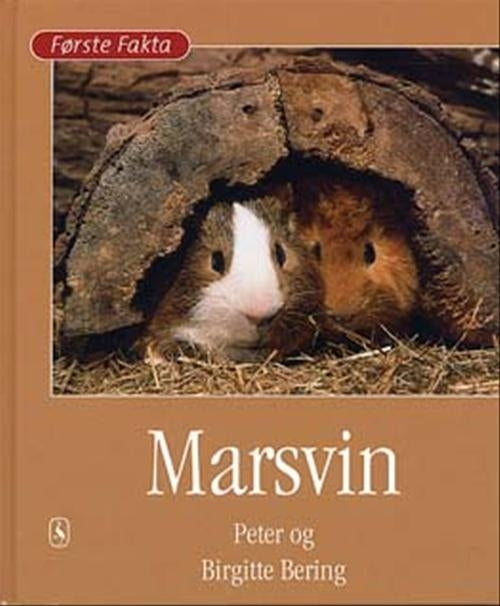 Marsvin