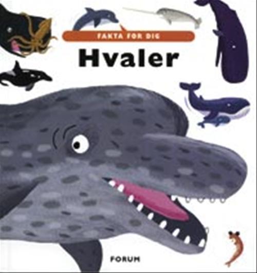 HVALER