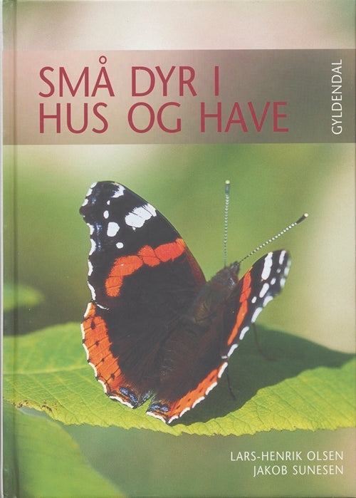Små dyr i hus og have