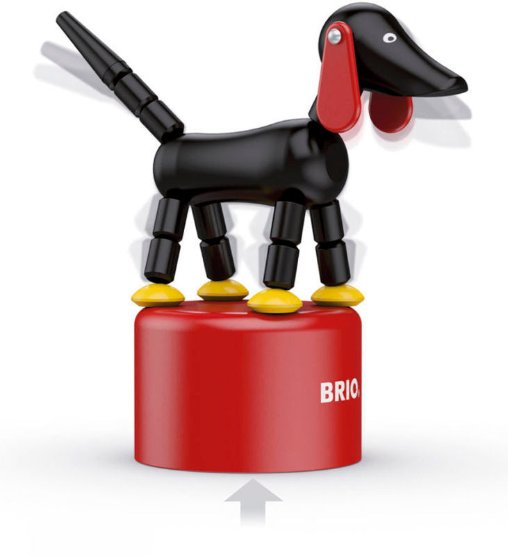 Brio sampo