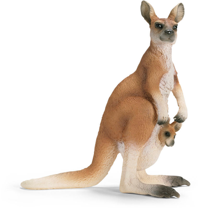 KÆNGURU