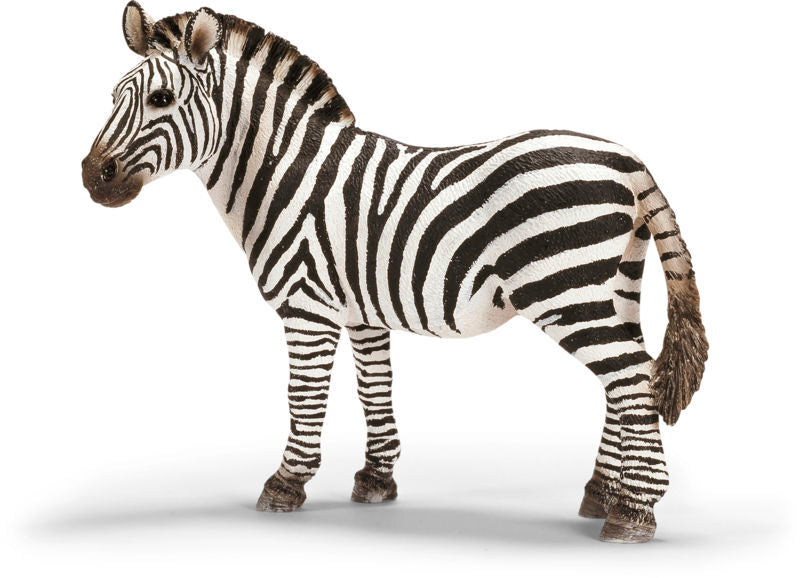 Zebra hoppe