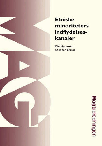 Etniske minoriteters indflydelseskanaler