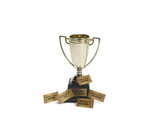 Pokal