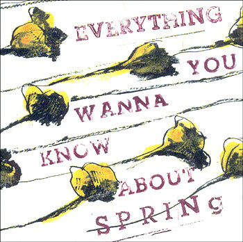 Everything you wanna know about spring