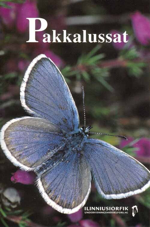 Pakkalussat