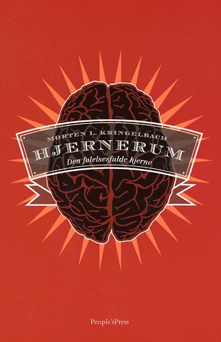 Hjernerum