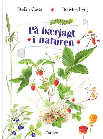 På bærjagt i naturen