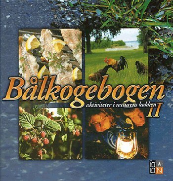 Bålkogebogen Aktiviteter i naturens køkken