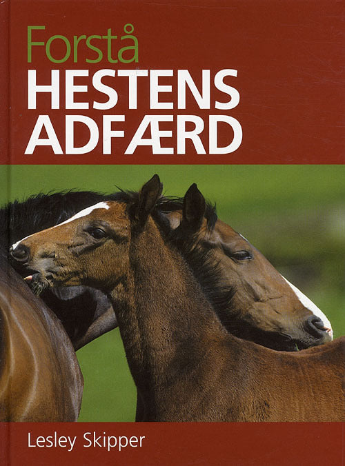 Forstå hestens adfærd