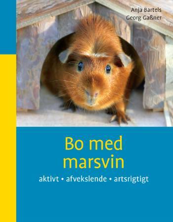 Bo med marsvin