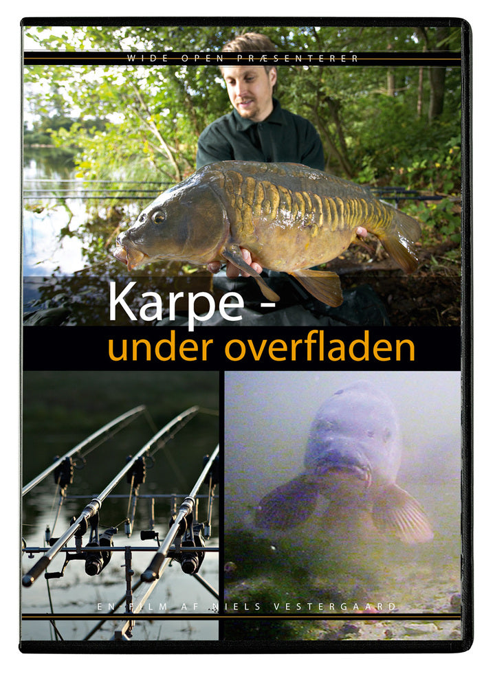 Karpe - under overfladen