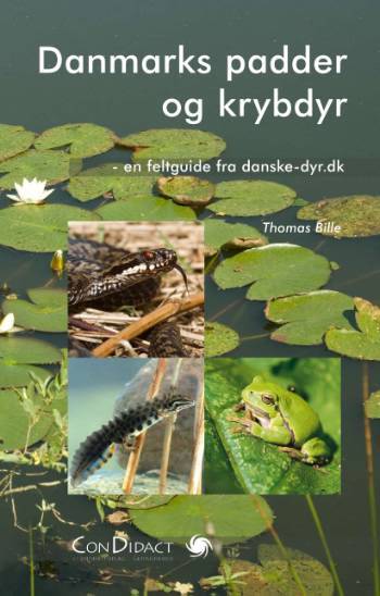 Danmarks padder og krybdyr