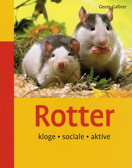 Rotter