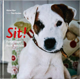 Sit!