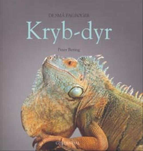 Krybdyr