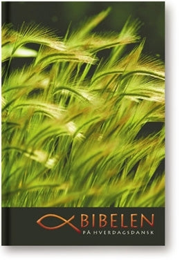 Bibelen på hverdagsdansk