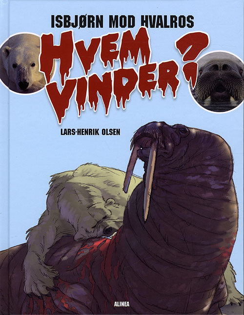 Hvem vinder?  Isbjørn mod Hvalros