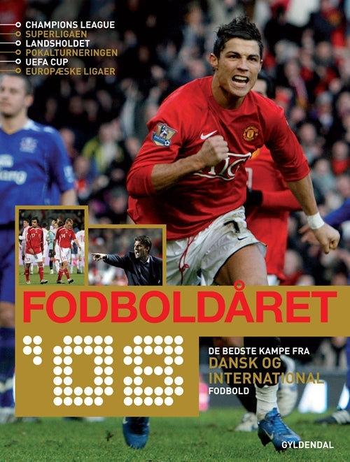 Fodboldåret 2008