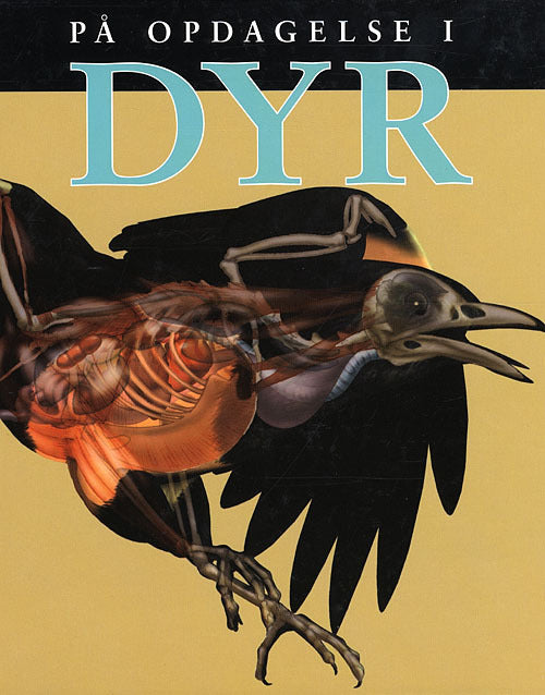 På opdagelse i dyr