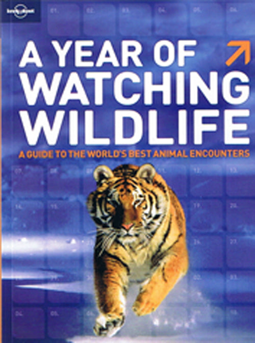 A Year of Watching Wildlife