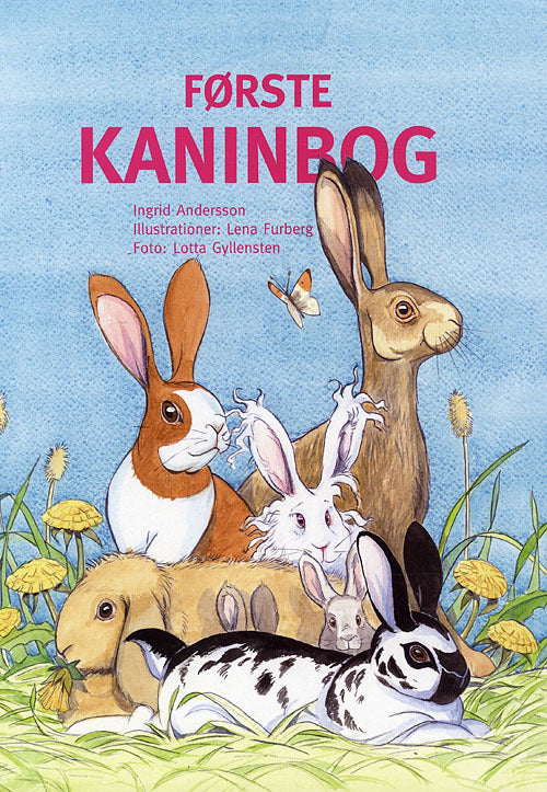 Første kaninbog